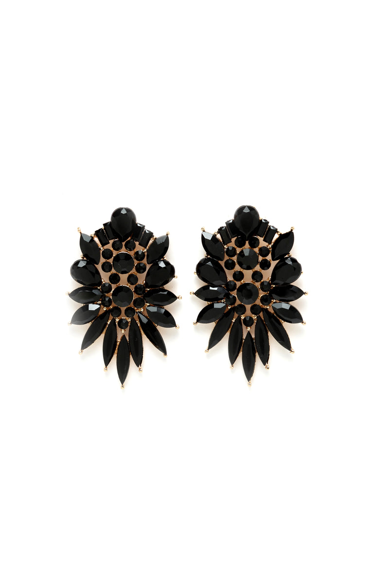 Exotic Crystal Studded Studs